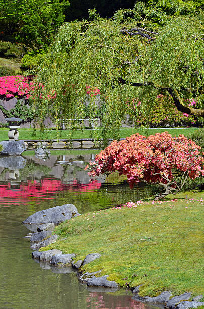 istock Colorful japanese garden 177878318
