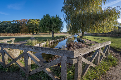 Stream view from wooden bridge leading to leg of Mutton pond Bushy Park Surrey UK
