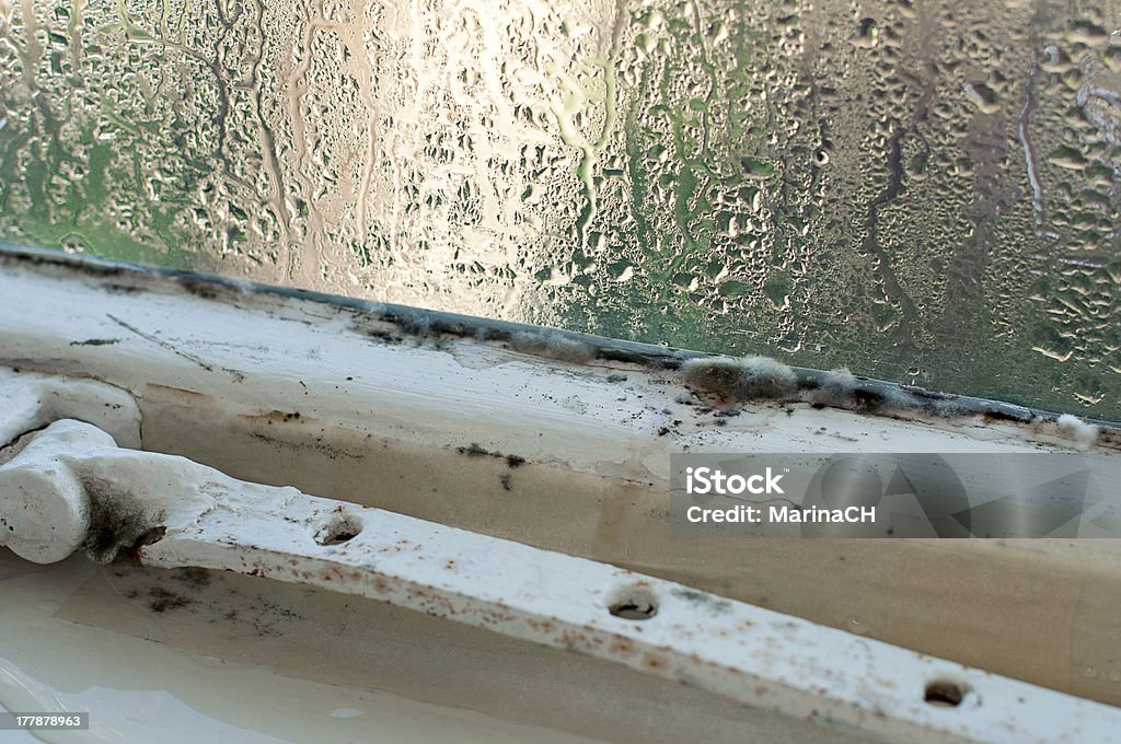Kondenswasser - Lizenzfrei Fenster Stock-Foto