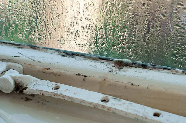 Photo of Old and weathered window frame and pane with condensation