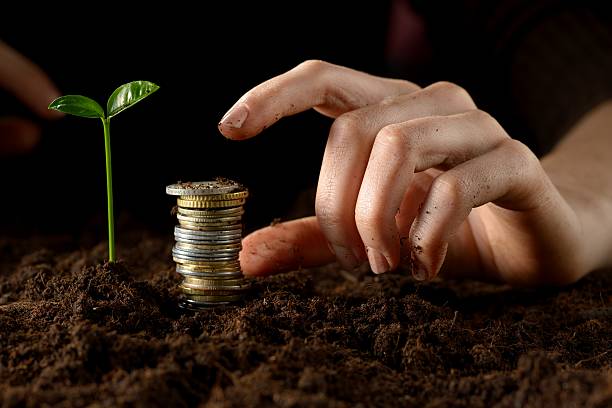 istock Hands with plant and money 177878968