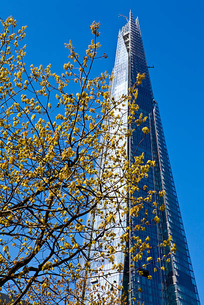 istock The Shard in London 177879087