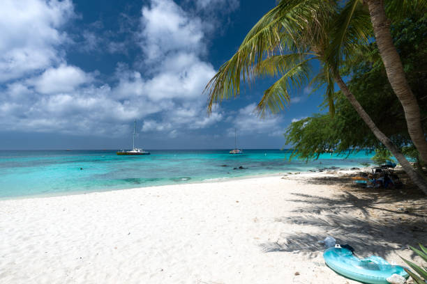 istock Palm trees on Boca Catalina Beach, Aruba 1778799687