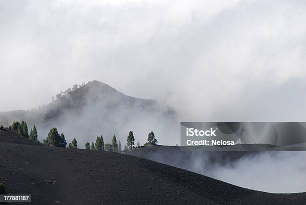 Misty Mountain Top Foto de stock y más banco de imágenes de Aire libre - Aire libre, Canario, Ceniza