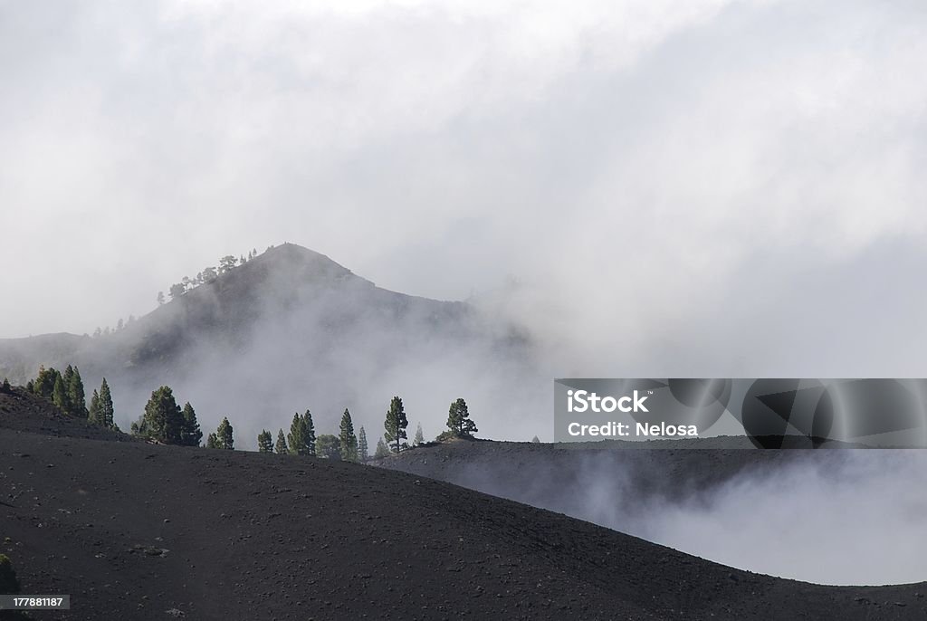 Montagna nebbioso top - Foto stock royalty-free di Albero