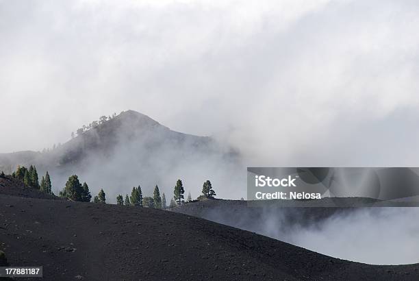 Montagna Nebbioso Top - Fotografie stock e altre immagini di Albero - Albero, Ambientazione esterna, Canarino delle Isole Canarie