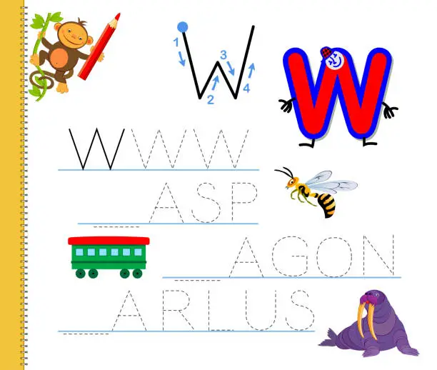 Vector illustration of Learn to trace letter W. Study English words. Worksheet for children. Education game with ABC for kindergarten. Developing kids skills for writing and reading. Vector cartoon illustration.
