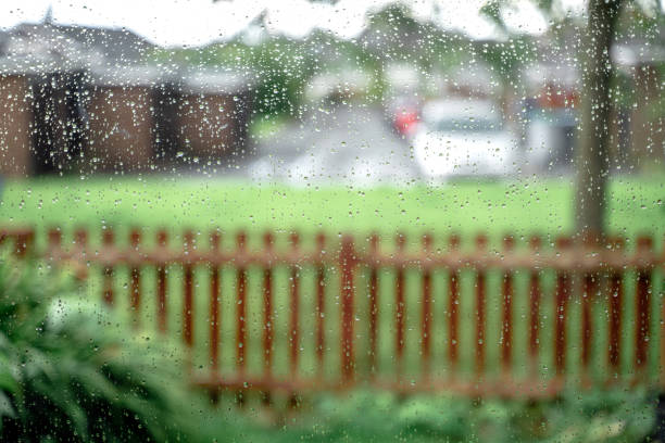 istock Rainy day outside. Concept of fall season 1778816177