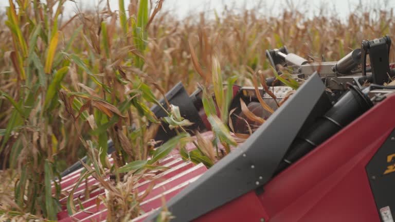 Grain Head Harvesting Corn in a Field, Close Up Slow Motion