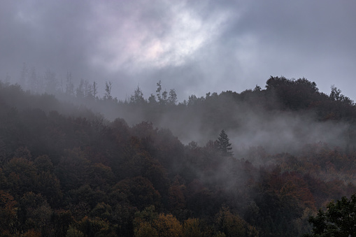 Mystical landscape. Fog in the mountains. Silhouettes of mountains. Morning mist in the forest among the hills. Gloomy mood.