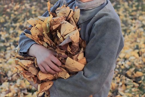 The boy holds a bundle of collected yellow autumn leaves with both hands