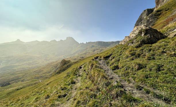 istock Misty autumn meadows at Flumserberg 1778916818