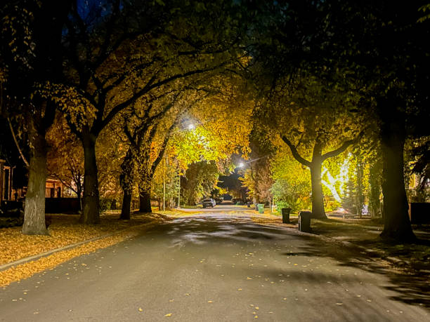 istock Fall colours along the night time streets in Calgary, Alberta 1778921778