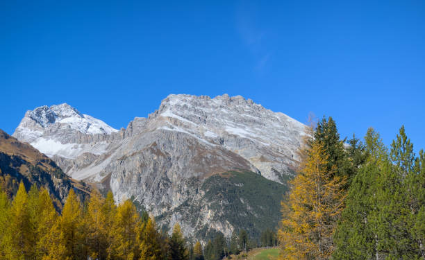 istock Rocky mountain above the pine forest 1778924654