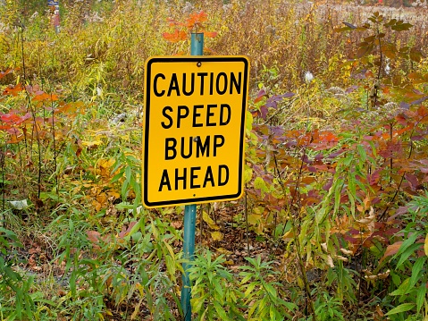 Caution speed bump sign in the midst of fall foliage leaves in the Berkshires.
