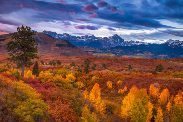 istock Autumn at Colorado's Dallas Divide 1778939915