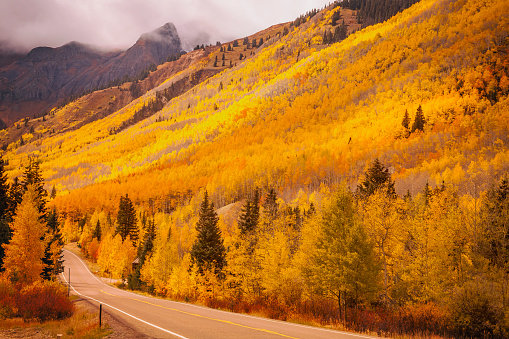 Colorado mountain road at autumn