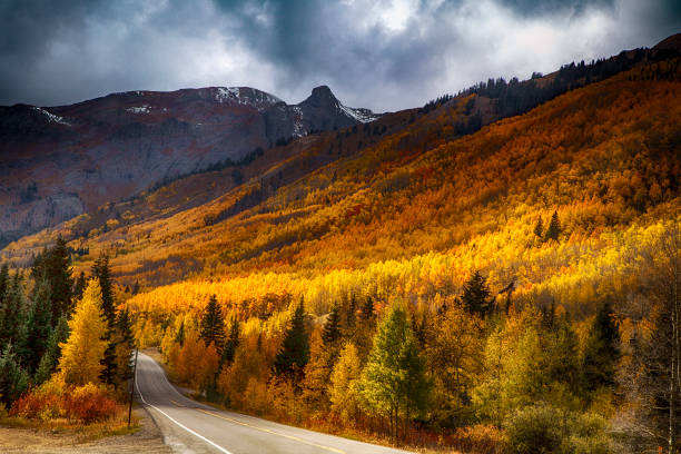 istock Colorado Mountain Road 1778940999