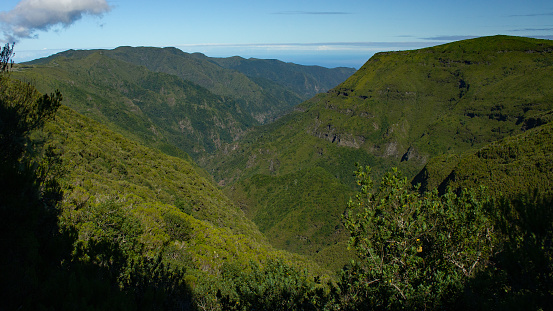 view on the Levada to Alecrim route. Madeira Island.