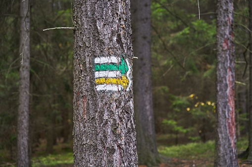 Traditional tourist marking in Czech republic shown paths or walking, hiking routes in the czech nature or countryside. Usually painted on tree trunks, rock and stones to be easy visible also in dark.