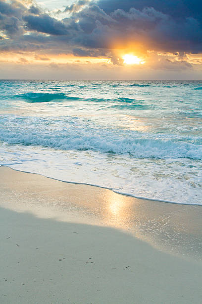 istock Beach of the Caribbean Sea 177896579