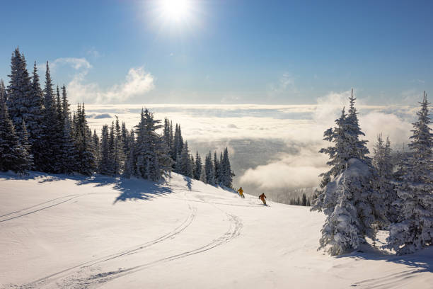 лыжи - skiing british columbia sports helmet tree стоковые фото и изображения