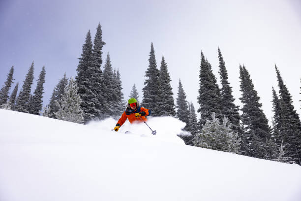 лыжи - skiing british columbia sports helmet tree стоковые фото и изображения