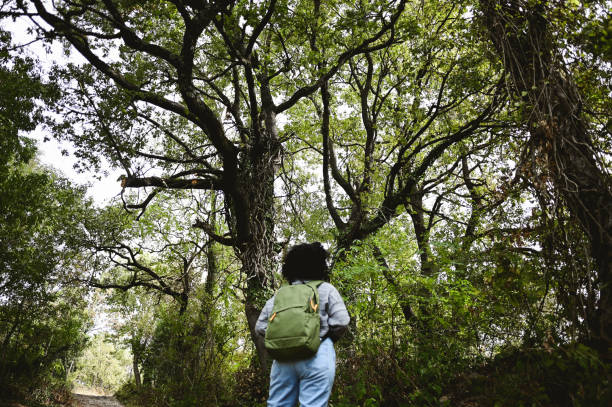 istock tourist woman enjoying the view while standing in a forest. 1778988533