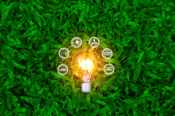 green energy concept help reduce global warming.\nnatural background light bulb on green leaf , green energy icon around it. Carbon dioxide emission in industry net zero carbon ,friendly energy.