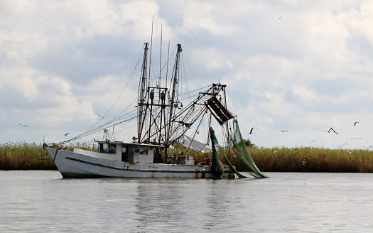 a shrimp boat in the bay