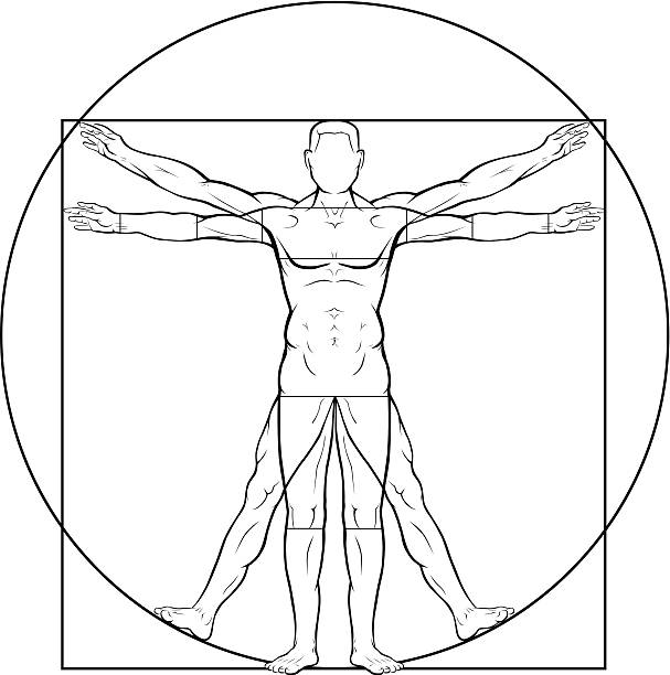 ヴィトルヴィウス的人間 - 人体図点のイラスト素材／クリップアート素材／マンガ素材／アイコン素材