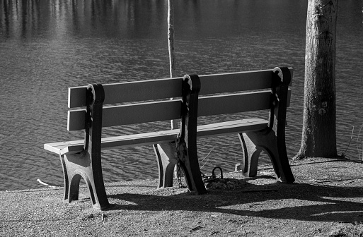 Black and white photo of bench by lake next to trees.