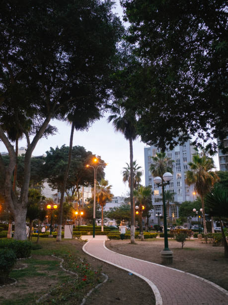 istock Winding path through a park in Lima at dusk 1779113018