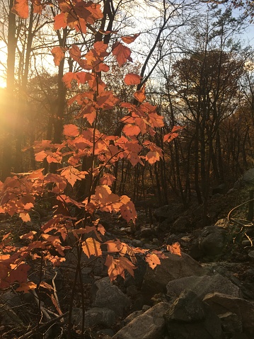 Golden Hour during November in Hudson Highlands in New York State.