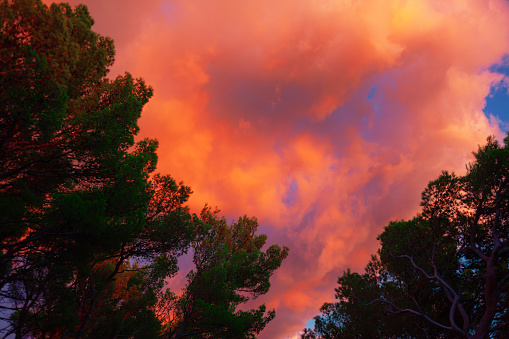 Capturing nature's evening spectacle, the sky ablaze with a vibrant canvas of flaming clouds set against the silhouettes of delicate tree branches