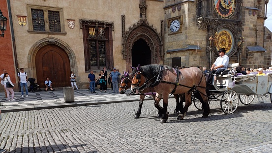 Prague, Czech Republic - June 9, 2023: Horse-drawn carriages carry tourists around to enjoy sightseeing of Old Town square with Prague astronomical clock in background.