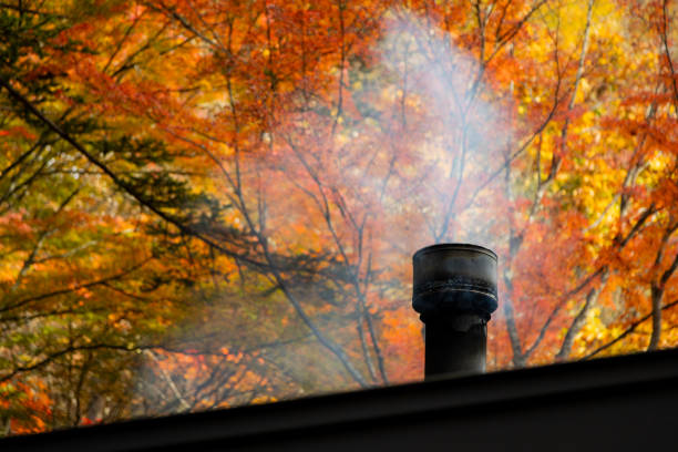 beautiful autumn landscape with trees