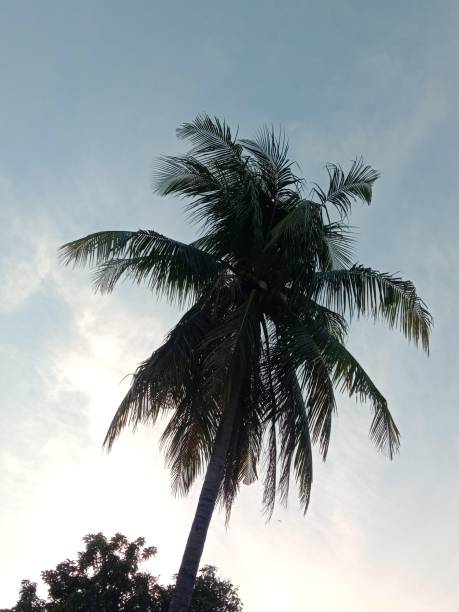 istock cloudy sky in the afternoon 1779152503