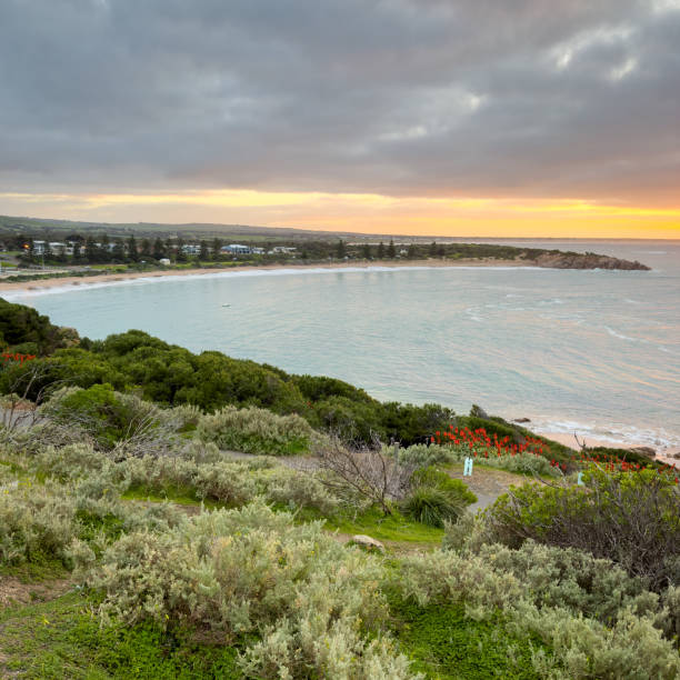 istock Sunrise On Horseshoe Bay Port Elliot 1779171233