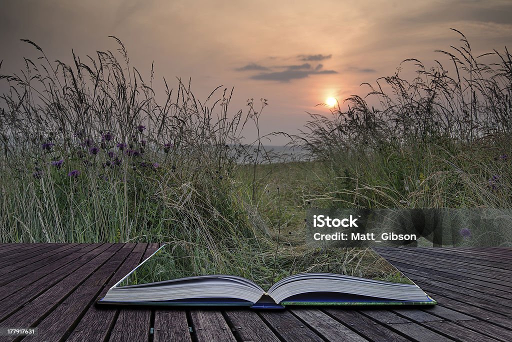 Creative concept pages of book Sunrise countryside landscape in Summer Creative concept pages of book Landscape view through uncultivated verge in countryside to rising sun Agricultural Field Stock Photo