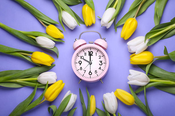 istock Pink alarm clock and beautiful tulips on violet background, flat lay. Spring time 1779178210