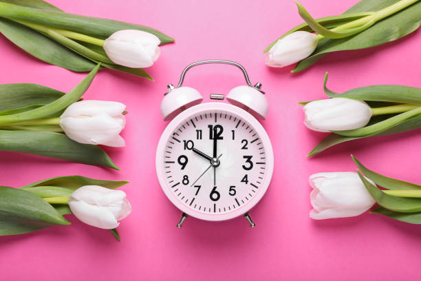 istock Alarm clock and beautiful tulips on pink background, flat lay. Spring time 1779178751