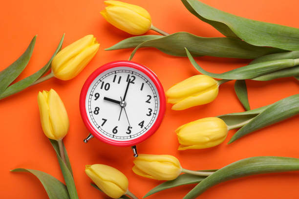 istock Red alarm clock and beautiful tulips on orange background, flat lay. Spring time 1779178757