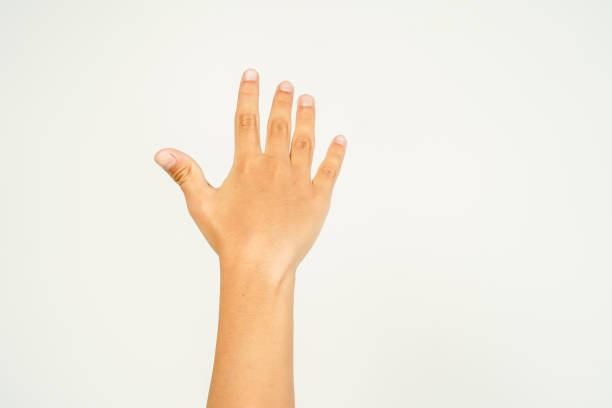 istock Pointing upwards with five fingers. Close up, isolated on white background. 1779192470