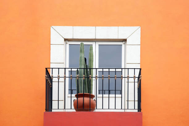 Orange building with white window and potted plant on small balcony