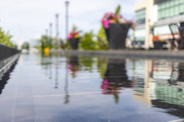 Reflective water surface - urban setting - pink flowers - blurred background. Taken in Toronto, Canada.