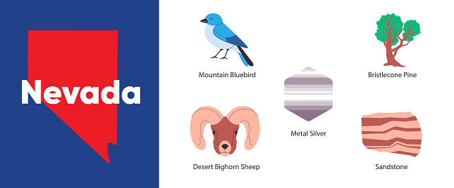 Nevada states with symbol icon of silver desert bighorn sheep bristlecone pine mountain bluebird sandstone illustration vector