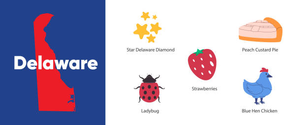 Delaware states with symbol icon of blue hen chicken peach custard pie strawberry ladybug and diamond illustration Delaware states with symbol icon of blue hen chicken peach custard pie strawberry ladybug and diamond illustration vector delaware chicken stock illustrations