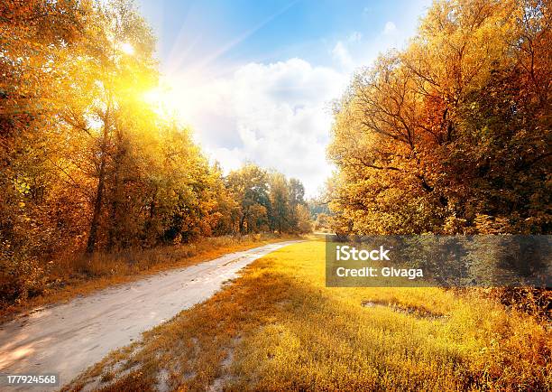 Дорога В Красочный Осенний Лес — стоковые фотографии и другие картинки Осень - Осень, Дорога, Падать