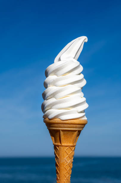 Soft vanilla ice cream with chocolate stick
